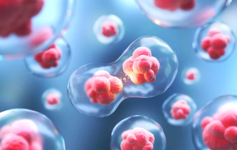 CD44 | Shaanxi Bloom Tech CD44 | Shaanxi Bloom Tech