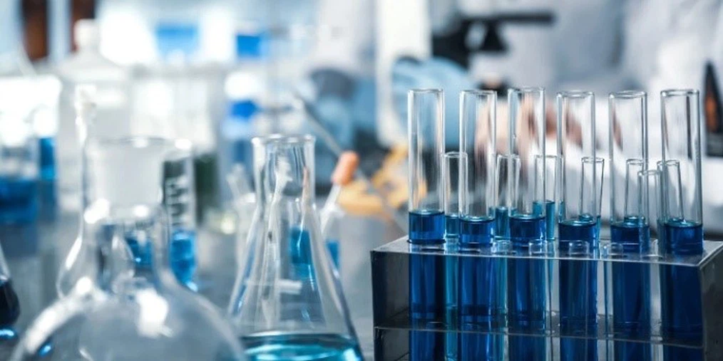 Spermidine Powder Understanding Spermidine | Shaanxi Bloom Tech Spermidine Powder Understanding Spermidine | Shaanxi Bloom Tech