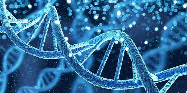 Spermidine Powder Understanding Spermidine | Shaanxi Bloom Tech Spermidine Powder Understanding Spermidine | Shaanxi Bloom Tech