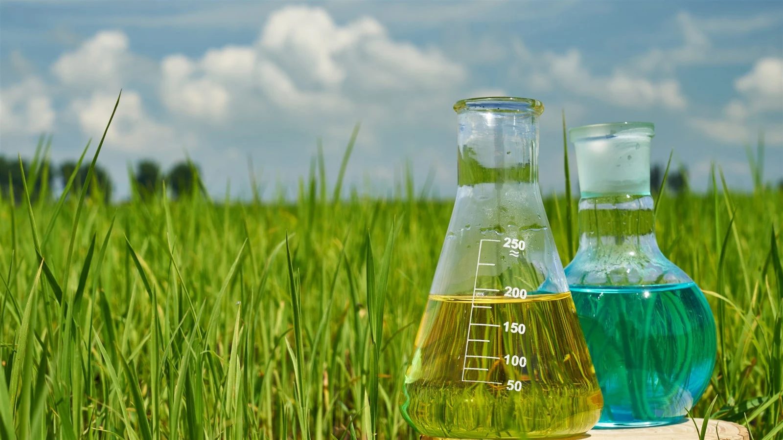 4-Amino-3,5-Dichloroacetophenone CAS 37148-48-4 | Shaanxi BLOOM Tech Co., Ltd 4-Amino-3,5-Dichloroacetophenone CAS 37148-48-4 | Shaanxi BLOOM Tech Co., Ltd
