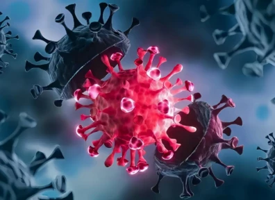 GS-441524 Modulating Inflammatory Responses | Shaanxi BLOOM Tech Co., Ltd GS-441524 Modulating Inflammatory Responses | Shaanxi BLOOM Tech Co., Ltd