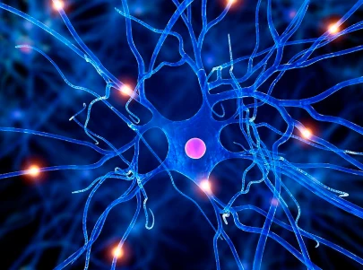 Bioglutide NA-931 500mcg | Shaanxi BLOOM Tech Co., Ltd