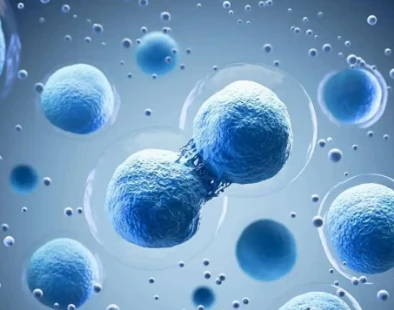 Bioglutide NA-931 Hormonal Environment | Shaanxi BLOOM Tech Co., Ltd