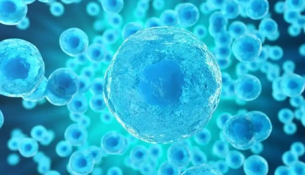 Bioglutide NA-931 Tissue | Shaanxi BLOOM Tech Co., Ltd Bioglutide NA-931 Tissue | Shaanxi BLOOM Tech Co., Ltd